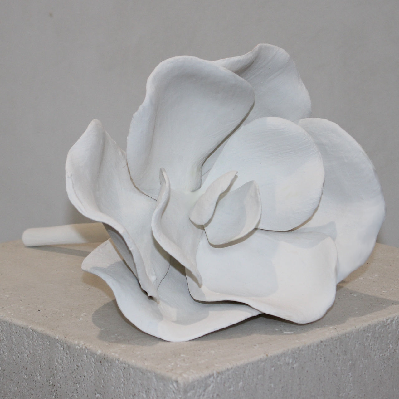 Plaster Succulent