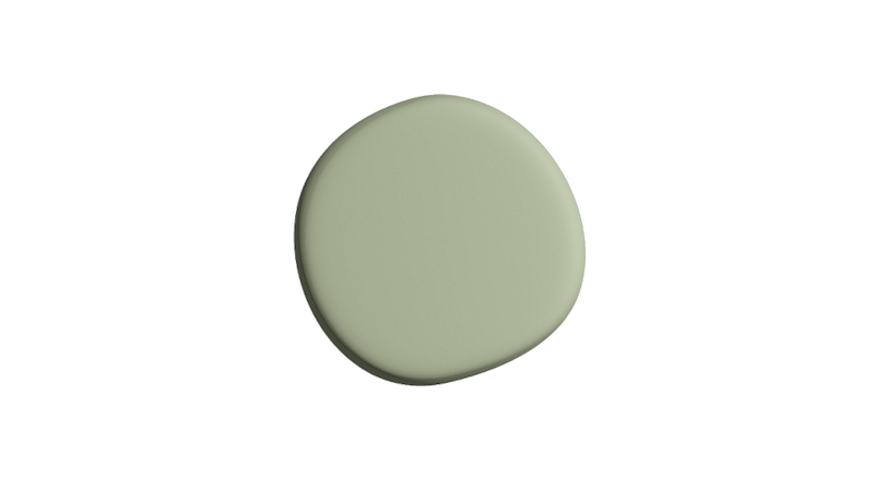 Swanky Sage | SF-095