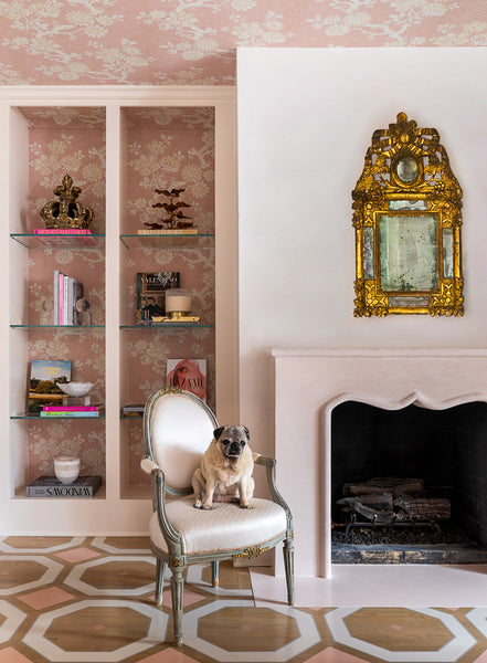 Instagram feed Image