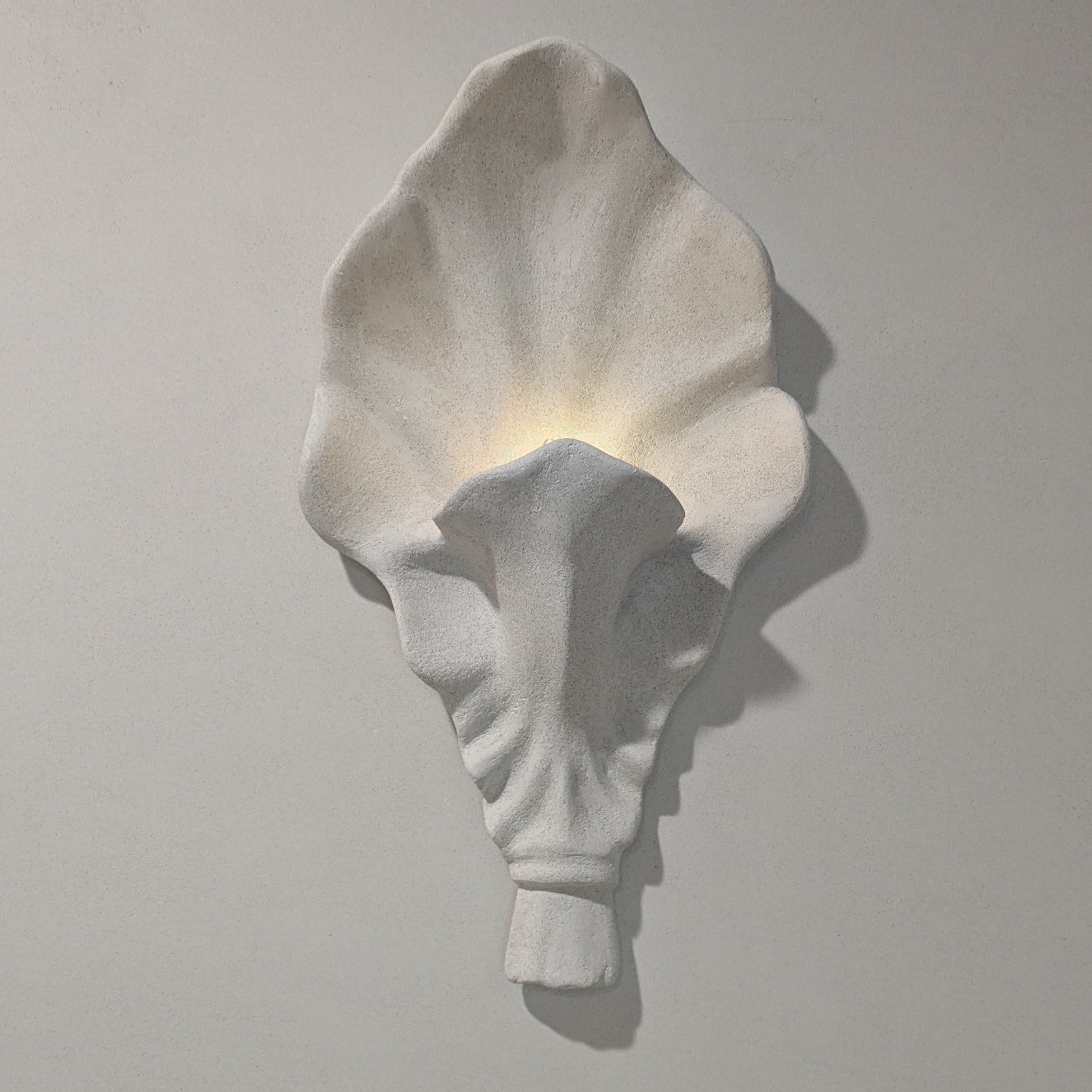 Conchiglia Sconce