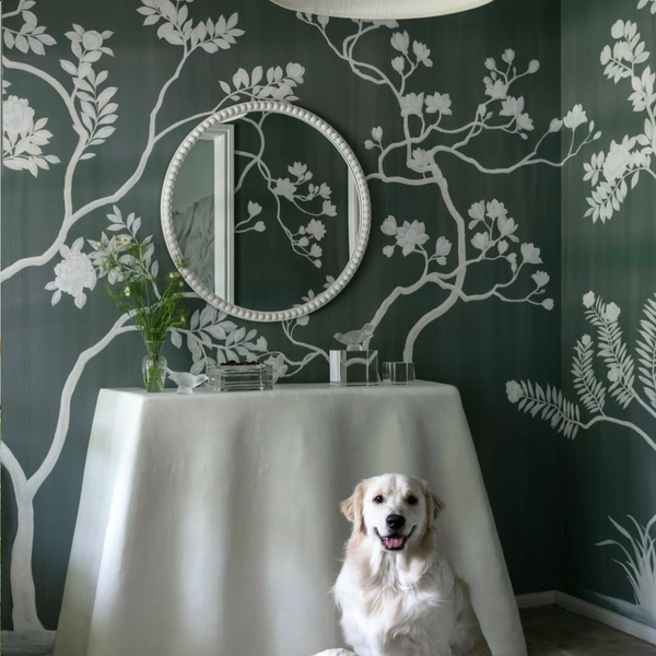 Instagram feed Image