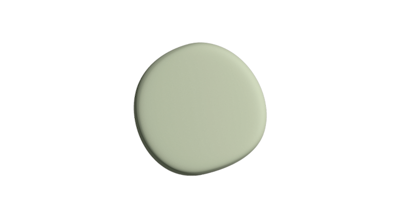 Winter Fern | SF-094